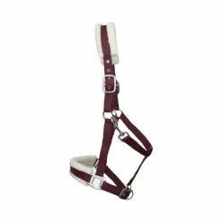 TdeT - Licol nylon et mouton bordeaux