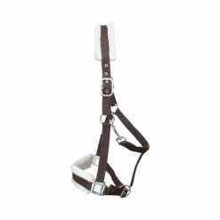 TdeT - Licol nylon et mouton marron