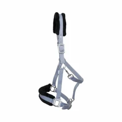 TdeT - Licol nylon et mouton gris