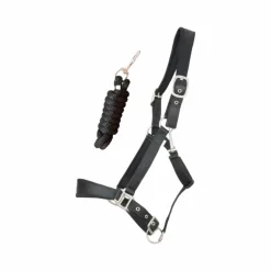 TdeT - Licol Satiné Doublé longe ronde assortie noir