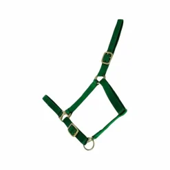TdeT - Licol synthétique doublé suédine vert foncé