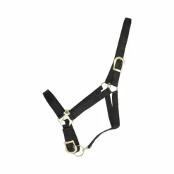 TdeT - Licol synthétique noir