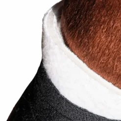 TdeT - Sous bandage mousse et tissu blanc antérieurs (x2)