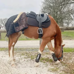 TdeT - Tapis de selle Thérèse marron