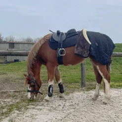 TdeT - Tapis de selle Thérèse marron