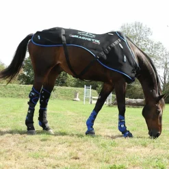 Veredus - Guêtres d'écurie postérieurs Magnetik x2