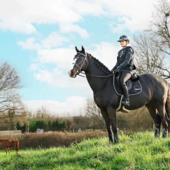 Veredus - Guêtres de Cross postérieurs E-Vento x2