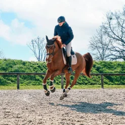 Veredus - Guêtres fermées antérieurs TRS Save the Sheep Noir x2