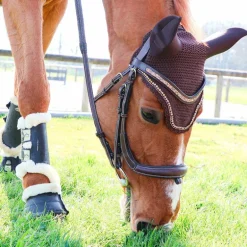 Veredus - Guêtres fermées antérieurs TRS Save the Sheep Noir x2