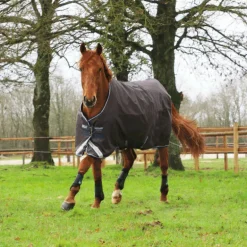 Veredus - Guêtres fermées antérieurs TRC Vento Noir x2