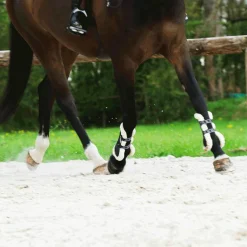 Veredus - Guêtres ouvertes Carbon Gel Vento Save The Sheep Noir x2