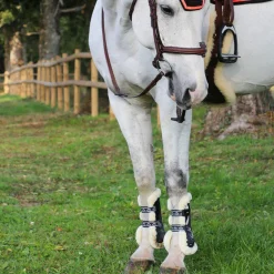 Veredus - Guêtres ouvertes Carbon Gel Vento Save The Sheep Noir x2