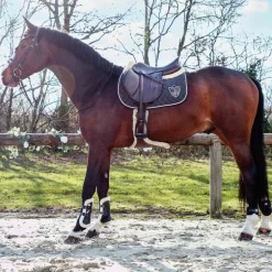 Veredus - Guêtres ouvertes Carbon Gel Vento Save The Sheep Noir x2