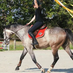 Veredus - Protège-boulets Olympus Vento marron