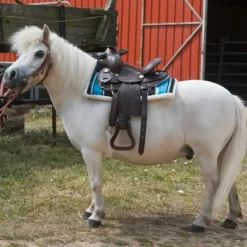 Westride - Tapis navajo Matelassé